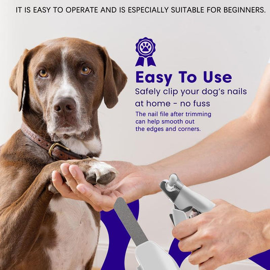 Pet Supplies Cat and Dog Nail Clippers Nail Polishers LED Lights Scissors Cleaning Supplies